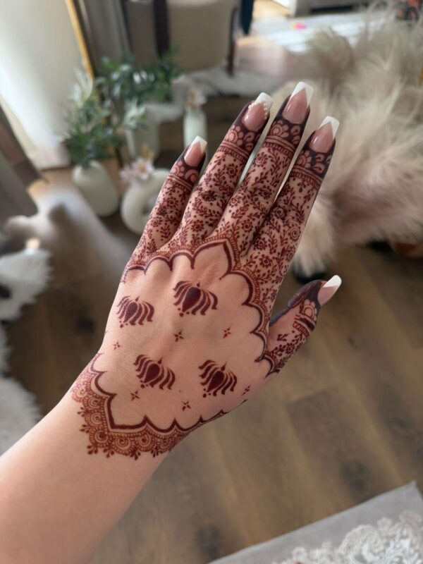 Maroon Henna Cones (mixed)​ - Image 2
